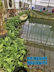 매일낚시터 짬낚시 