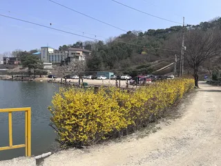 4월 첫 주말 장광 낚시터 출조