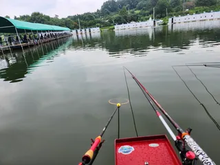  8월의 포천   새마을 낚시터로의 낚시여행