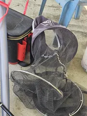 극동낚시터 조황