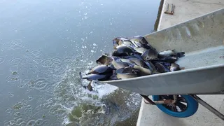 2022년도 다섯번째 조행기