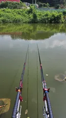 직두리 낚시터 조행기 