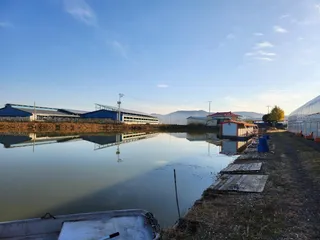 농촌지 낚시터 하우스