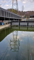 3차 백두산리그 참관 조행