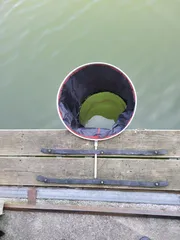 [#2]효비의 붕어조행기(광탄낚시터, 임진강 낚시터)