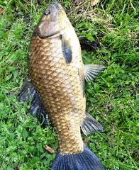 기다리던 계절-5월의 시작 입니다.