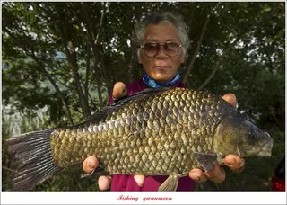 탄금호 4 짜 대물 조황..