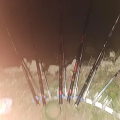 진위천 평택호 조황 