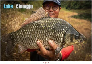 충주호 노지 4 짜 조황..