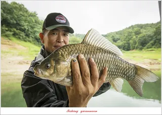 솔 4 짜 대물 조황..