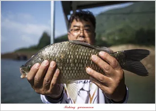 솔 4 짜 및 월척 조황..