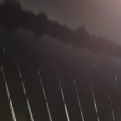 진위천 남양호 평택호 조황 소식