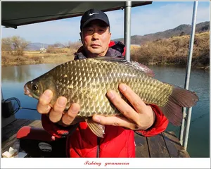 한버들 39 cm..37 cm..36 cm..솔 34 cm 월척 조황..