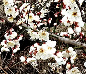 시작된 봄시즌-스타트는 몸풀기 부터