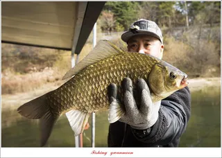 솔 4 짜 및 월척 조황..