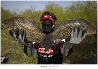 용원지 4 짜 대물 조황..