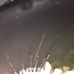 진위천 조황 소식