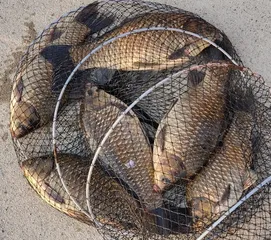 초보님들께 강추==두창지