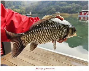 명서 39.5 cm..39 cm..대물 조황..