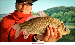 당진 항곡 낚시터..