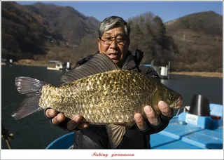 사오리  41 cm 대물 및 솔 월척 조황..