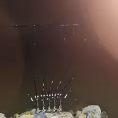 평택호 진위천 조황 소식