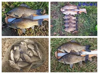 위천강 4짜 월척, 대류지 소류지 대물 월척조황~~