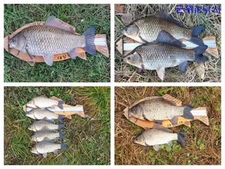 소류지 10월, 11월 대물조황보고와 막바지 물낚시 예고 ~~