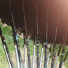 진위천 남양호 조황 소식