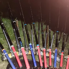 진위천 남양호 조황 소식