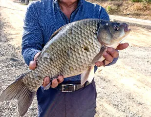 최고의 가을 시즌을 맞고 있습니다.