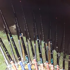 진위천 평택호 조황 