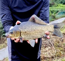 가을-10월의 저수지 모습들