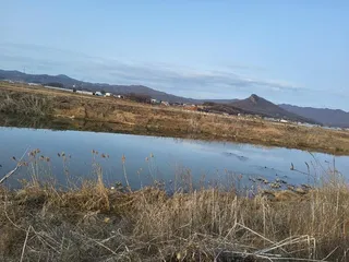 무료터 청미천 낚시는 언제쯤?