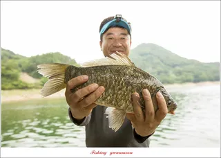 목벌 4 짜 마릿수 조황..