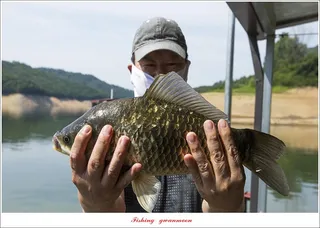 솔 4 짜 대물 조황..