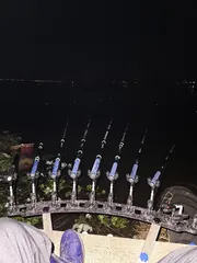 평택호 진위천 조황 소식