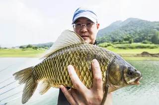 한버들 42.5 cm..41 cm..충주호 오름수위 조황..