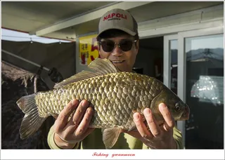 한버들 43 cm..38 cm..34 cm..조황..