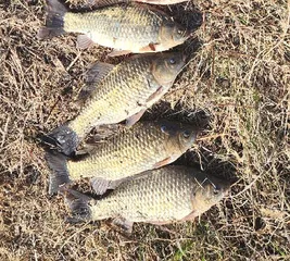 가슴설레는 25년 봄시즌이 개막 되었습니다.