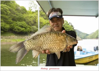 사오리 4 짜..한버들 4 짜..봉낚시터 조황..