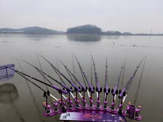 진위천 남양호 조황 소식