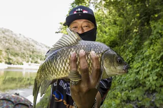  괴산..음성 저수지 및 목벌 낚시터 조황..