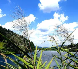 기다리던 9월을 맞으면서.