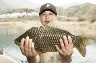 솔 4 짜  및 한버들 4 짜 마릿수..화곡지 4 짜 조황..