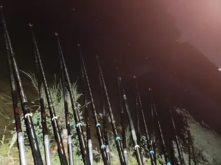 평택호 진위천 조황 소식