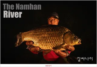 남한강 4 짜 마릿수 조황..