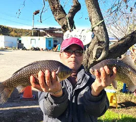 늦가을에 찾아보기 좋은곳.