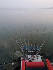 평택호 진위천 조황 소식