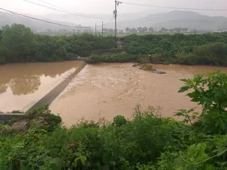 고삼지 노지 대물들 나옵니다